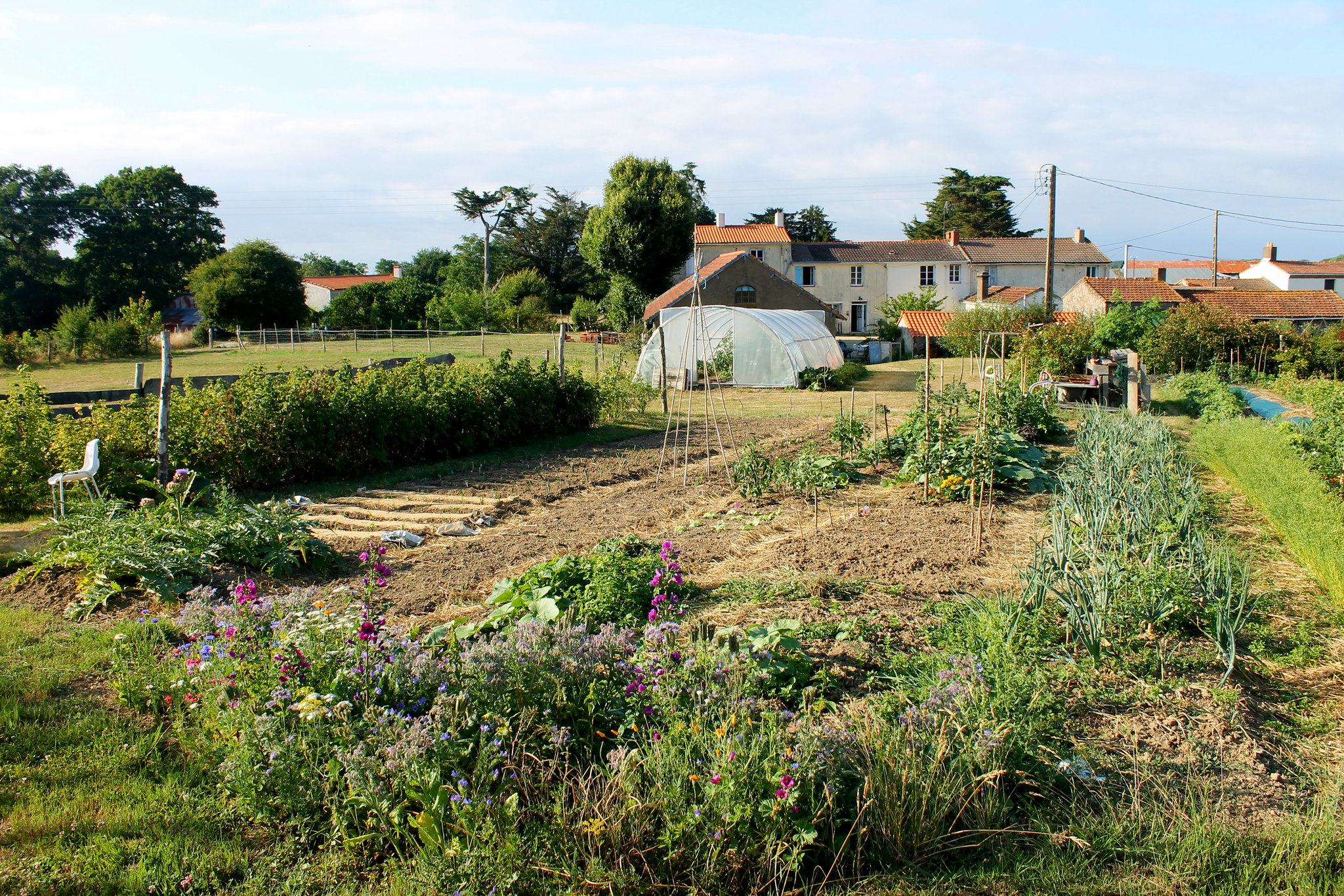 voluntariado ambiental - Como conseguir voluntariado com hospedagem