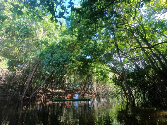canoagem na amazônia