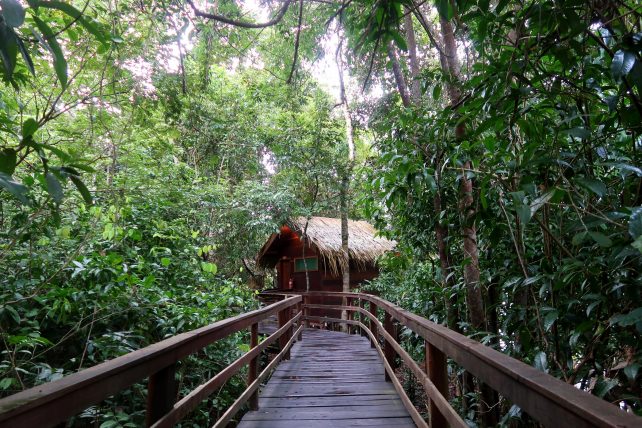 hotel de selva na amazônia