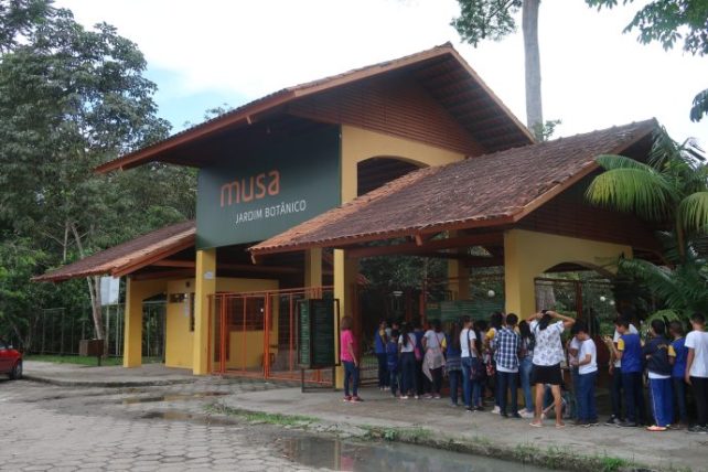 musa - museum of the amazon