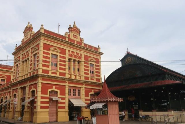 things to do in manaus