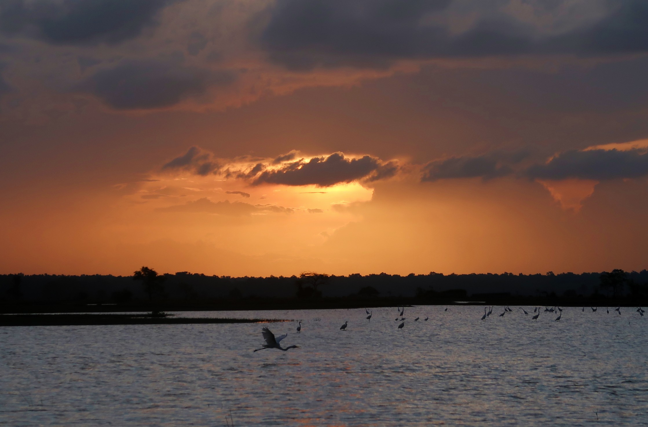 pôr do sol no Marajó