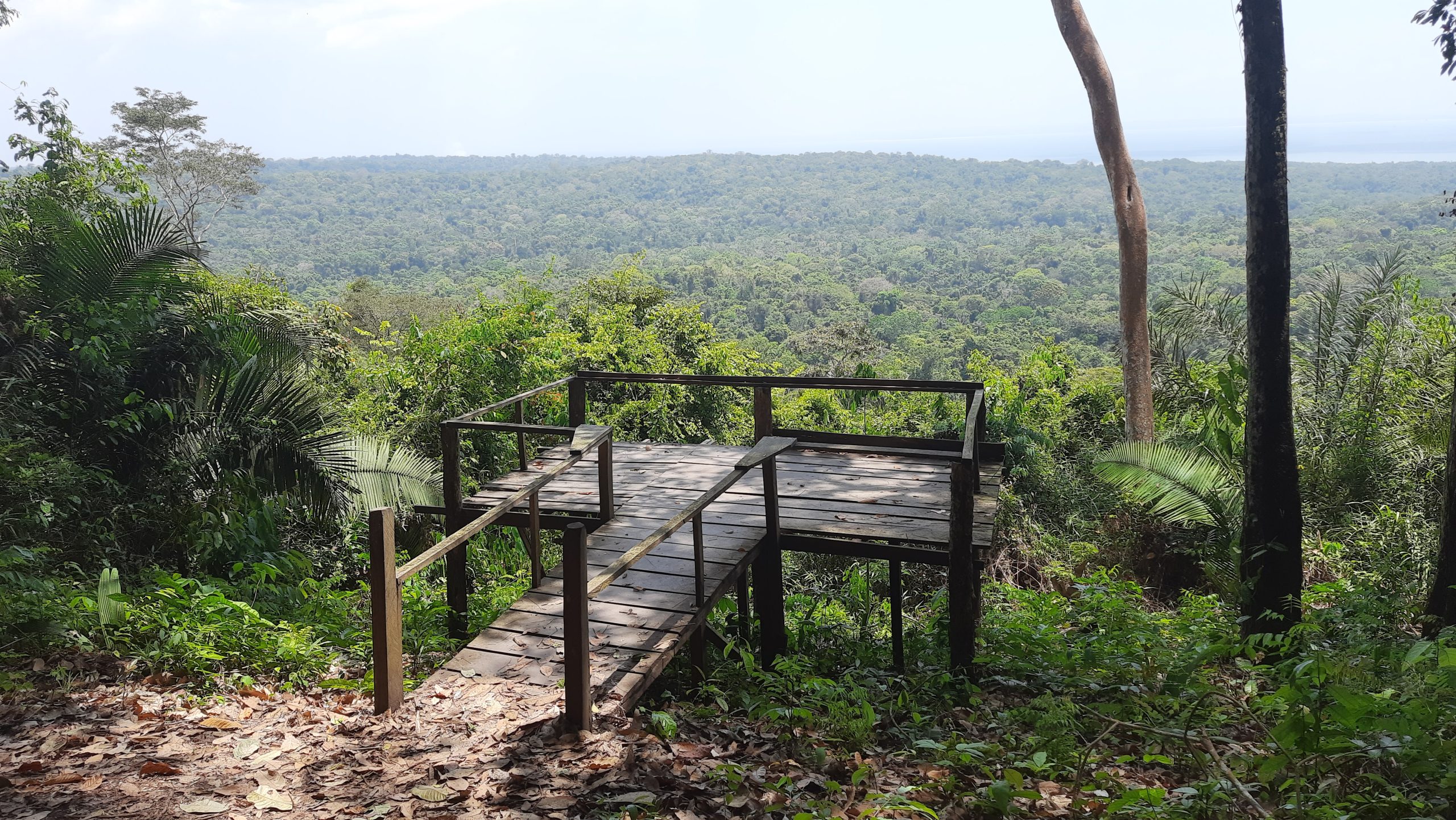 mirante na flona