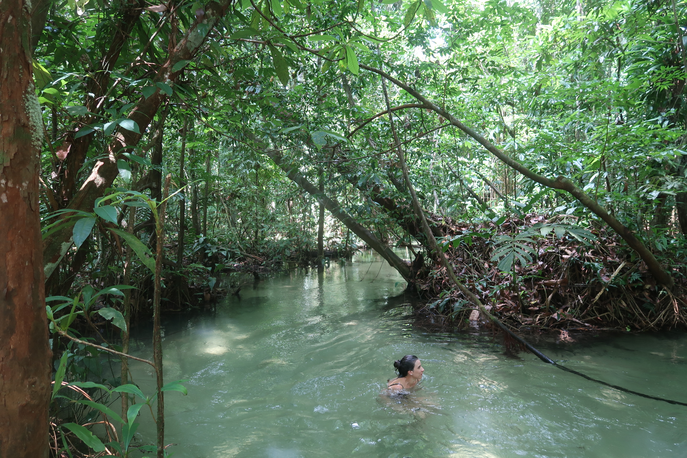 igarapé em jamaraquá