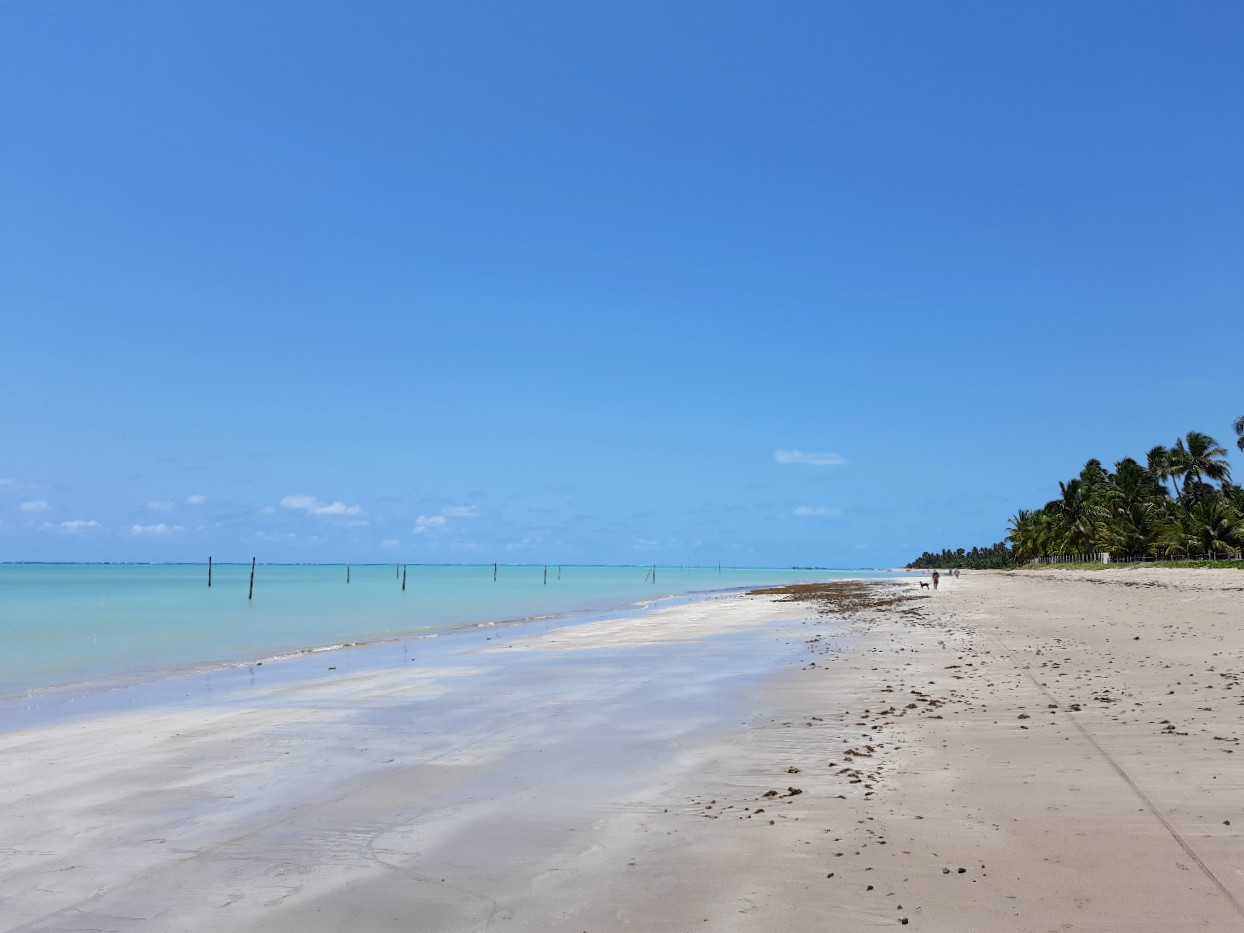 beach in Alagoas, brazil