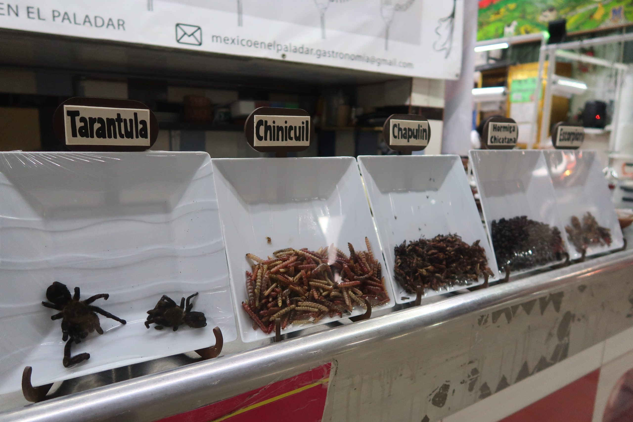 grilos e outras comidas peculiares