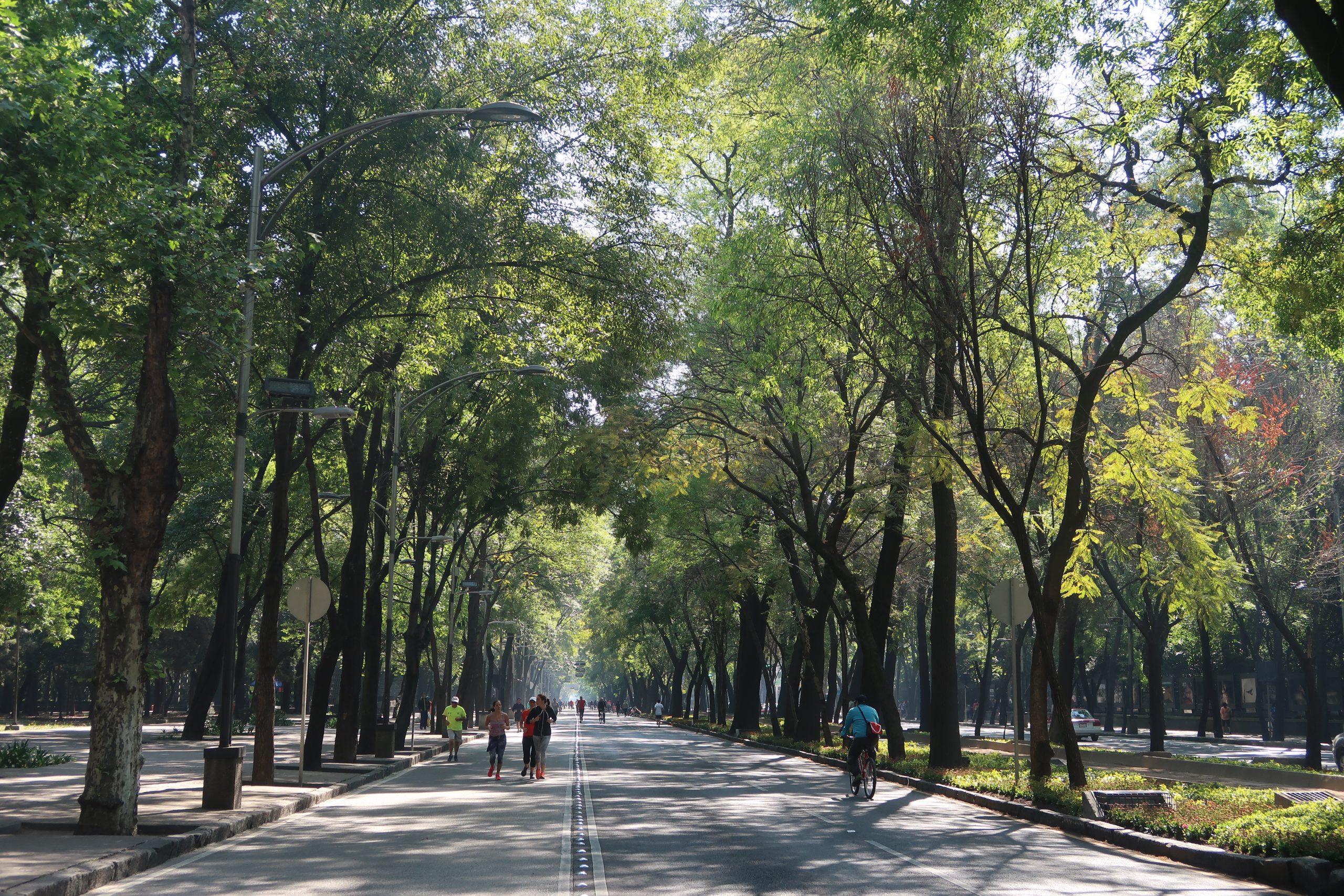 o que fazer na cidade do méxico