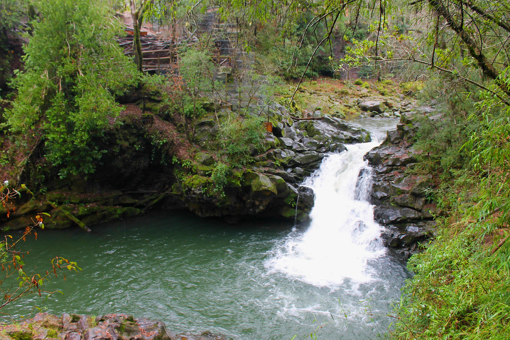 chile de carro - pucón