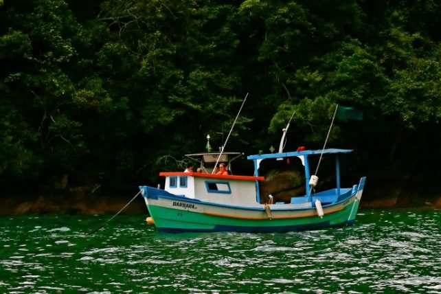 boat in ilhabela, são paulo