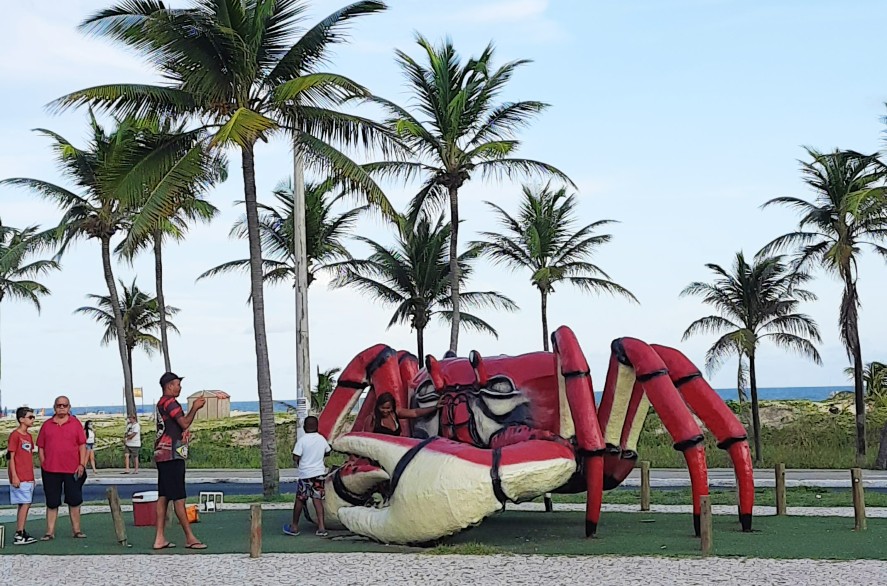 things to do in aracaju