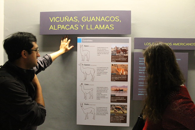 museu