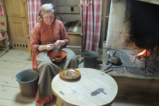 museu skansen