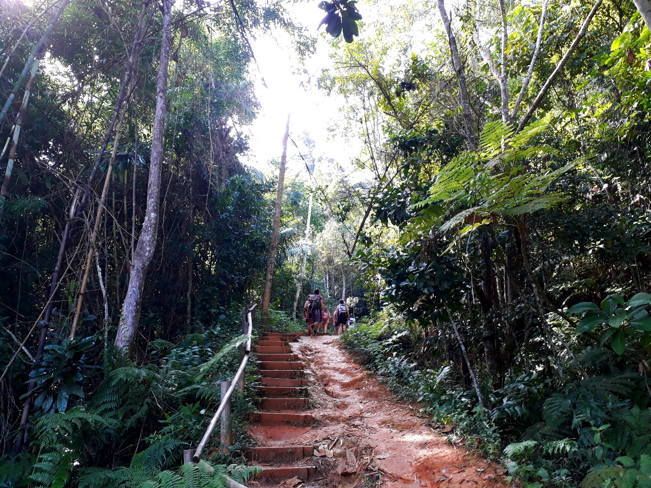 things to do near paraty - praia do sono